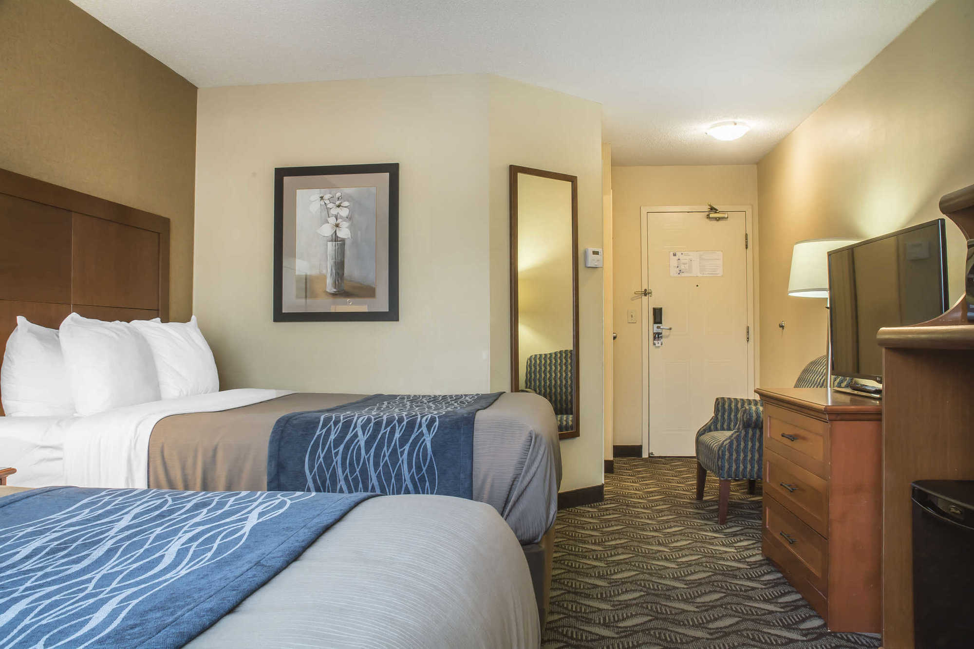 Comfort & Ambassador Bridge 3*